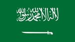 wk 2022 saudi arabia